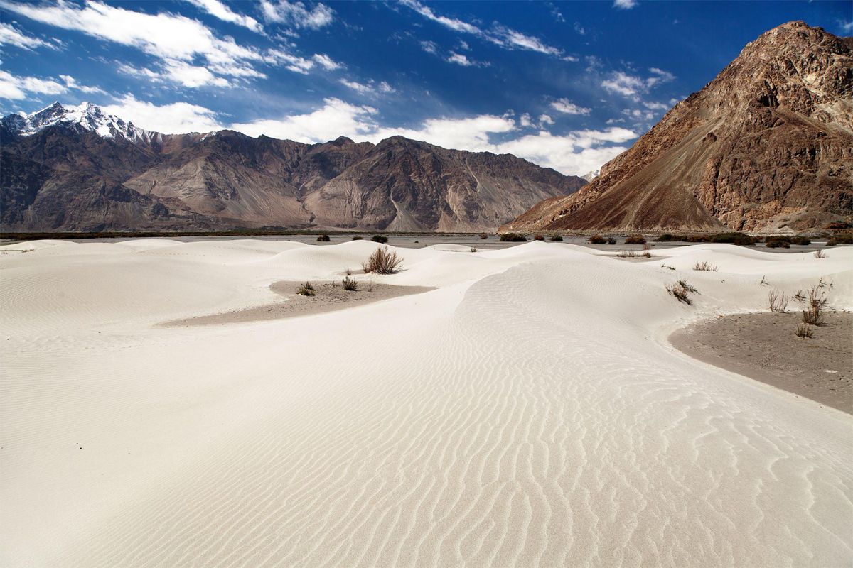 Scenic 5 Days / 4 Nights Ladakh Experience